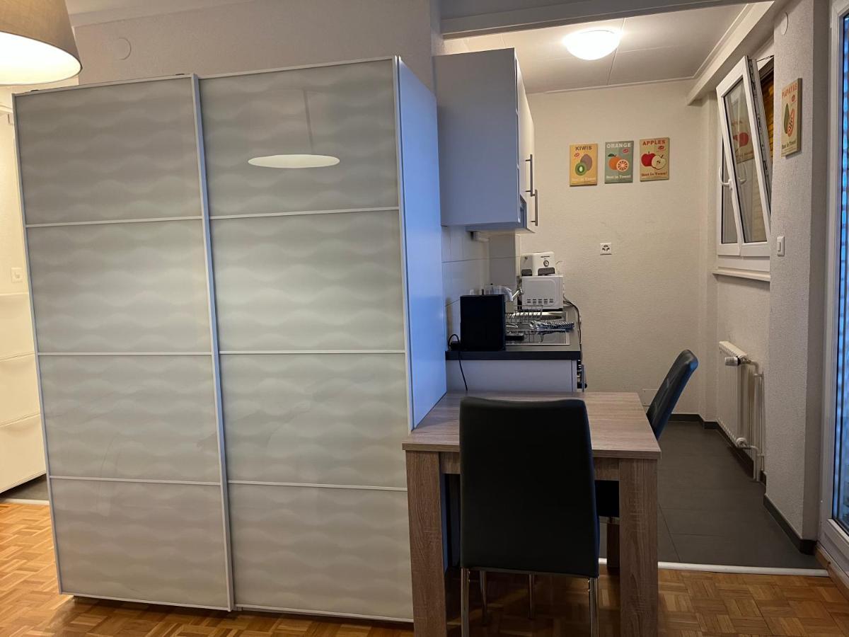 Beautiful Studio 2 Minutes From The Train Station Lejlighed Lausanne Eksteriør billede